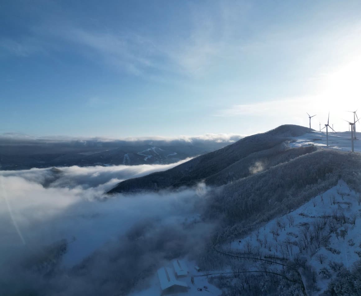 해발 1,000m 삼수령 운해와무무목장