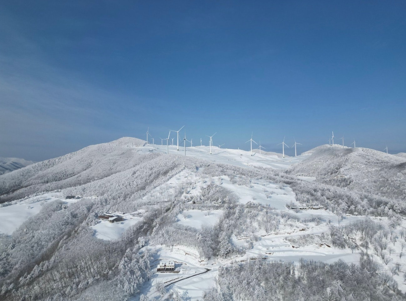 태백 산맥과 목장이 내려다보이는 풍경